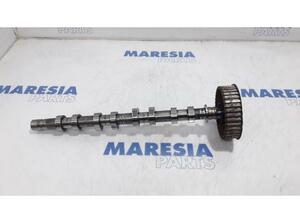 Camshaft RENAULT Clio II (BB, CB), RENAULT Clio III (BR0/1, CR0/1)