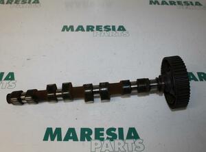 Camshaft FIAT Stilo (192)