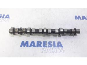 Camshaft RENAULT Trafic II Kasten (FL)