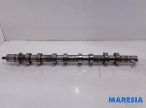 Camshaft RENAULT Laguna II Grandtour (KG0/1)