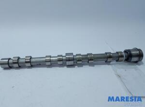 Camshaft FIAT Ducato Kasten (250, 290)