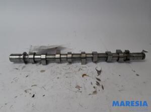 Camshaft RENAULT KANGOO Express (FW0/1_)