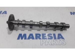 Nockenwelle Renault Clio IV BH 970724215 P14185326