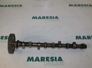 Camshaft FIAT ULYSSE (220_)