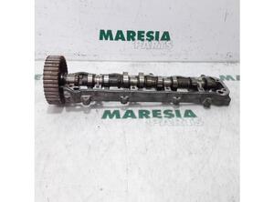 Camshaft PEUGEOT 307 Break (3E), PEUGEOT 307 SW (3H), PEUGEOT 206 SW (2E/K), CITROËN C2 (JM_)