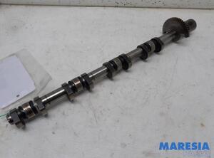 Camshaft PEUGEOT 207 (WA_, WC_), PEUGEOT 308 I (4A_, 4C_), PEUGEOT 308 SW I (4E_, 4H_), CITROËN C3 II (SC_)