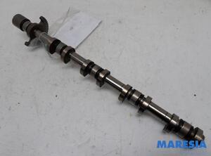 Camshaft CITROËN C3 PICASSO (SH_)