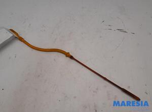 Engine Oil Dipsticks RENAULT TWINGO II (CN0_)