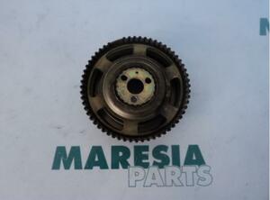 Crankshaft Gear FIAT Panda (169)