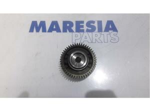 Camshaft Gear FIAT Grande Punto (199), FIAT Punto (199), FIAT Punto Evo (199)