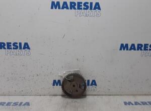 Camshaft Gear FIAT Scudo Kasten (270, 272)