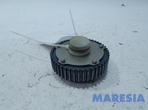 Camshaft Gear FIAT Grande Punto (199), FIAT Punto Evo (199), FIAT Punto (199)