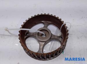 Camshaft Gear RENAULT Clio III (BR0/1, CR0/1)