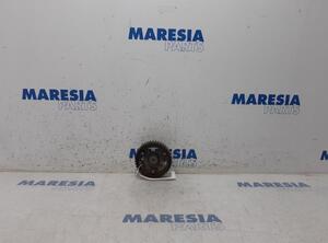 Camshaft Gear RENAULT MEGANE III Grandtour (KZ0/1)