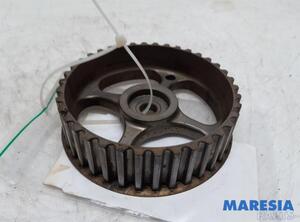 Camshaft Gear RENAULT LAGUNA III Grandtour (KT0/1)