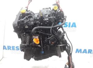 Bare Engine RENAULT Clio III (BR0/1, CR0/1)