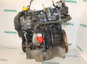 Bare Engine RENAULT Clio III (BR0/1, CR0/1)