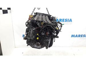 Motor kaal RENAULT Clio III (BR0/1, CR0/1)