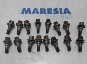 Wheel Bolt PEUGEOT 207 SW (WK)