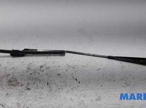 Wiper Arm RENAULT Twingo II (CN0)