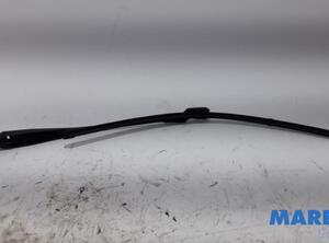 Wiper Arm RENAULT Twingo II (CN0)