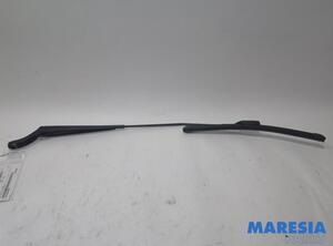 Wiper Arm RENAULT Twingo II (CN0)