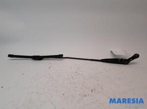 Wiper Arm FIAT 500 (312), FIAT 500 C (312), FIAT 500/595/695 (312), FIAT 500C/595C/695C (312)