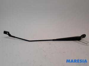 Wiper Arm RENAULT Twingo II (CN0)