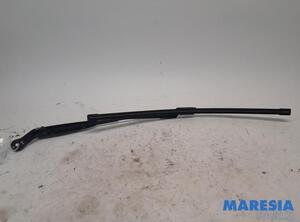 Wiper Arm FIAT 500 (312), FIAT 500 C (312), FIAT 500/595/695 (312), FIAT 500C/595C/695C (312)