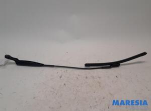 Wiper Arm FIAT 500 (312), FIAT 500 C (312), FIAT 500/595/695 (312), FIAT 500C/595C/695C (312)