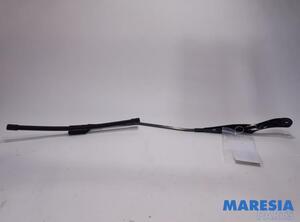 Wiper Arm FIAT DOBLO Cargo (263_), FIAT DOBLO MPV (263_), FIAT DOBLO Platform/Chassis (263_)