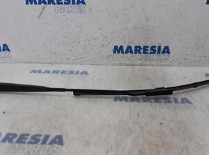 Wiper Arm RENAULT KANGOO / GRAND KANGOO (KW0/1_)