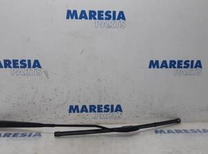 Wiper Arm RENAULT KANGOO Express (FW0/1_), RENAULT KANGOO / GRAND KANGOO (KW0/1_)