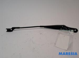 Wiper Arm RENAULT TWINGO II (CN0_)