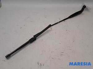 Wiper Arm FIAT 500 (312_), FIAT 500 C (312_)