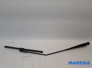 Wiper Arm PEUGEOT 207 (WA_, WC_), PEUGEOT 207 CC (WD_)