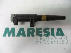 Ignition Coil RENAULT Clio III (BR0/1, CR0/1)