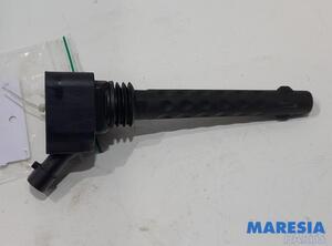 Ignition Coil FIAT Doblo Cargo (263), FIAT Doblo Großraumlimousine (263)