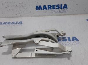 Heckklap hinge FIAT 500 (312_), FIAT 500 C (312_), ABARTH 500 / 595 / 695 (312_), ABARTH 500C / 595C / 695C (312_)