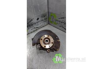 Stub Axle RENAULT CLIO V (B7_)