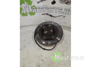 Wheel Hub RENAULT ESPACE IV (JK0/1_)