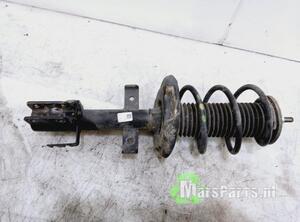 Suspension Strut RENAULT CLIO V (B7_)