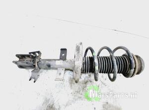 Suspension Strut RENAULT CLIO V (B7_)