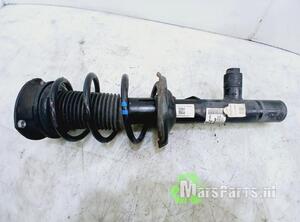 Suspension Strut VW GOLF VIII (CD1)