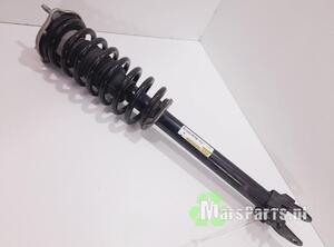 Suspension Strut MERCEDES-BENZ E-CLASS (W213)