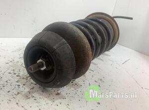 Suspension Strut SUZUKI SWIFT III (MZ, EZ)