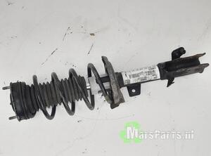 Suspension Strut FORD FIESTA VI (CB1, CCN)