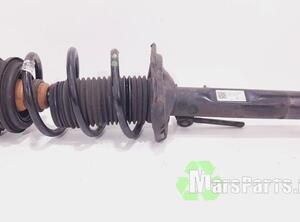 Suspension Strut VW GOLF VII (5G1, BQ1, BE1, BE2)