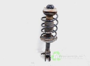 Suspension Strut MERCEDES-BENZ B-CLASS (W245)