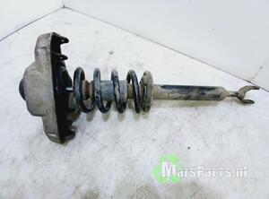 Shock Absorber AUDI A6 (4F2, C6)